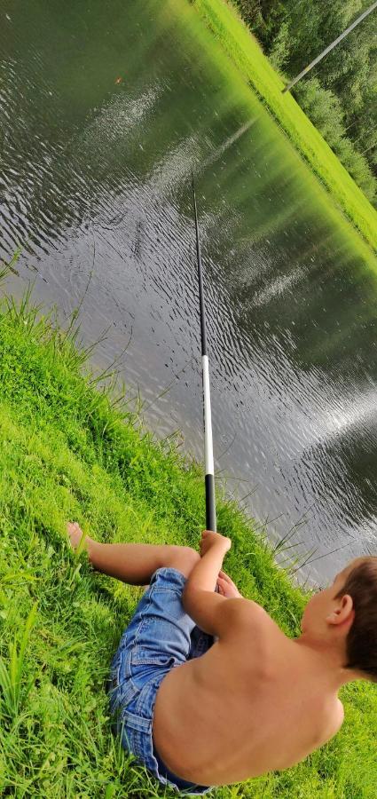 Orupohja Kaempingud Ja Telkimisala Hotell Põlva Exteriör bild